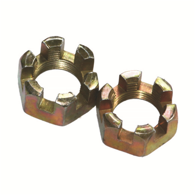 Top Quality Butterfly Bolt And Nut - tainless Steel 304 316 Slotted Nut Lock Nut DIN935 Hexagon Slotted Castle Nuts DIN937 DIN935 Hexagon Slotted Nuts Castle Nuts Axle Nut – Tiancong