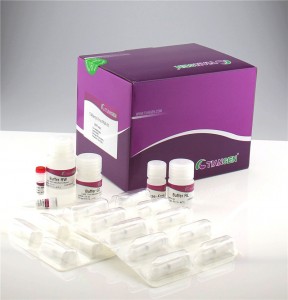 TIANamp Virus DNA/RNA Kit