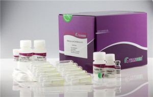RNAprep Pure Cell/Bacteria Kit