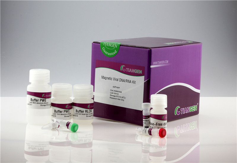 Magnetic Viral DNA/RNA Kit Featured Image