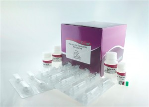 RNA Easy Fast Tissue/Cell Kit
