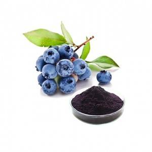 Ihalas nga Blueberry Extract