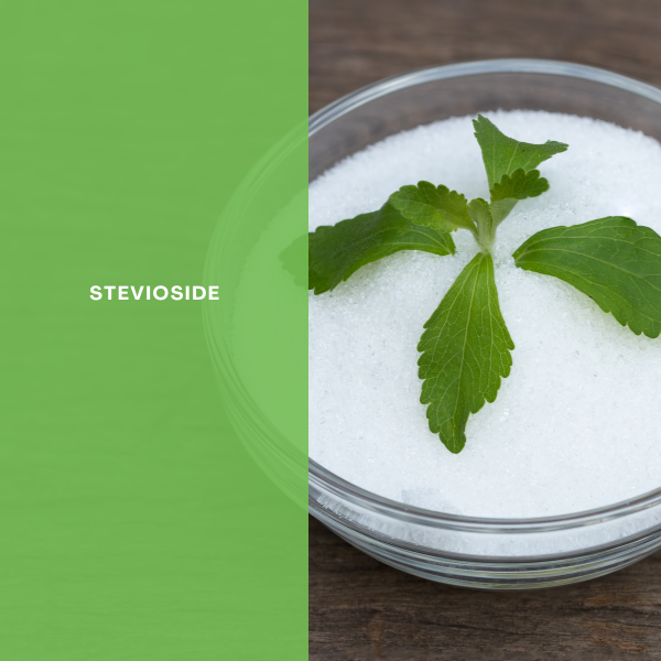 OEM Customized Guar Gum Thickening Agent - TianJia Food Additive Manufacturer Stevioside Powder – Tianjia