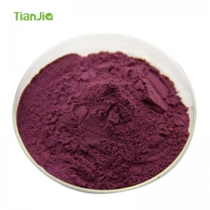 TianJia Food Additive Manufacturer Blueberry in polvere liofilizzata