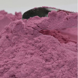 TianJia Food Additive Manufacturer Blueberry freeze dried powdered