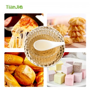 TianJia Food Additive Manufacturer Tchizi Flavor CE20314A