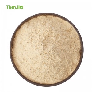 TianJia Abincin Ƙara Abincin Manufacturer Albasa Powder Flavor FS205121