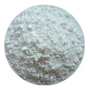 Best Price on Premium Dutch Cocoa Powder - High Quality Food Grade Powder 99% Purity L-Glutamine – Tianjia