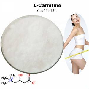 Hot-selling Vitamin C Sodium Ascorbate Powder - Supplement Raw Material Powder L-carnitine – Tianjia