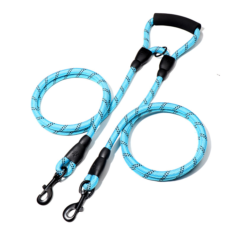 blue double dog leash