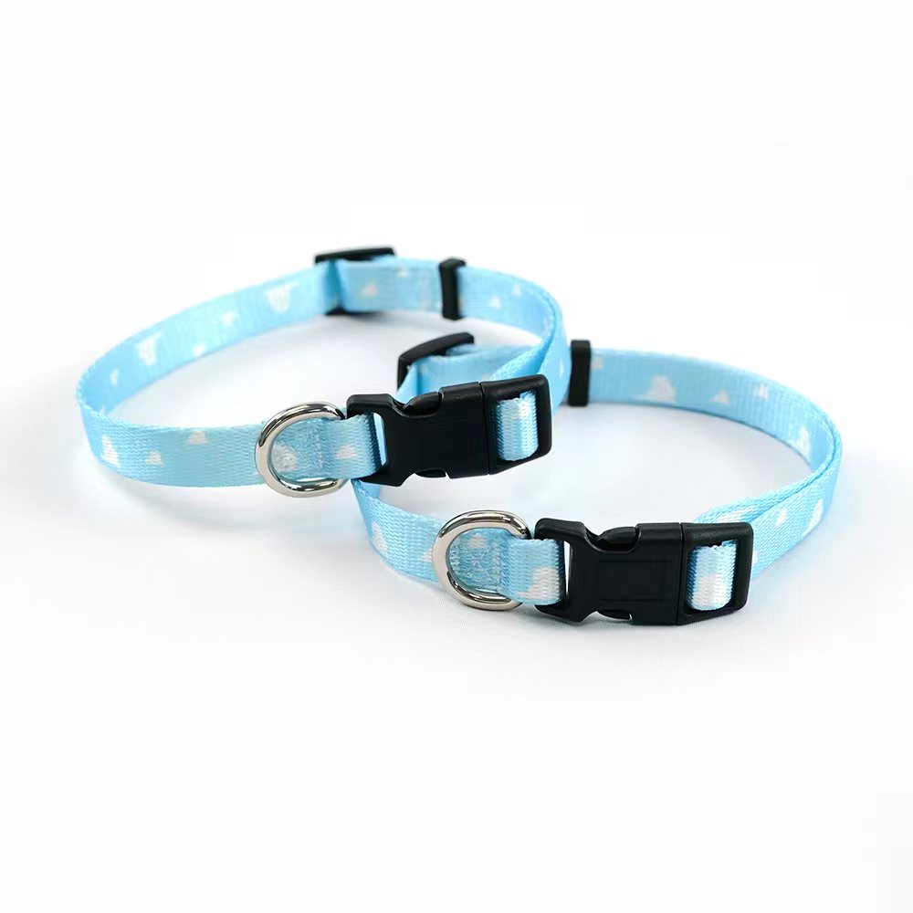 Custom Luxury Metal Buckle Dog Leash And Collar Set Fabric Designer Nylon Pet Collar And Leash Set For Dogs-01 (2)