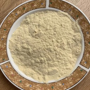 Mung Bean Protein For Supplement and Egg Substitute