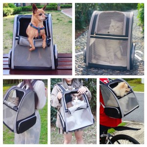 Innovative travel bags for cats and dogs Pet backpacks