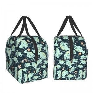 Lunch Bag Unisex Reusable Portable Insulated Bag Picnic Travel Bag