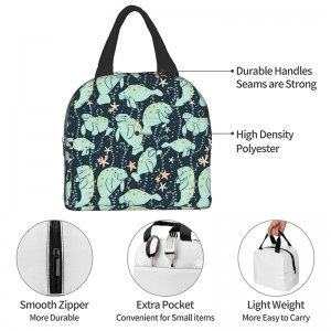 Lunch Bag Unisex Reusable Portable Insulated Bag Picnic Travel Bag