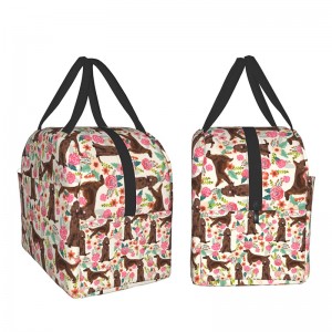 Customizable pattern lunch bag, convenient travel lightweight insulation bag