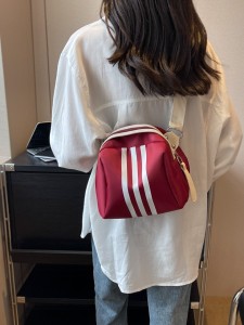 Striped Nylon Turtle Bag, Shell Bag, Trendy Crossbody Bag