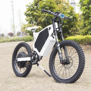 What is the best cheap electric dirt bike?