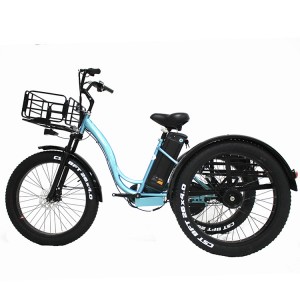 OEM Ebike Black Color Fat Trike 3-Wheel Cargo Fat Tire Electric Trike 48V15.6ah 3 Wheel Electric Bike