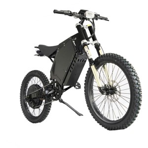 What is the best cheap electric dirt bike?