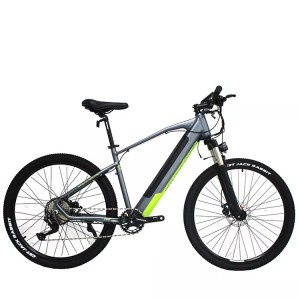 Electric City Bike for Adult