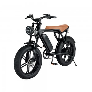 750W Fat Tire Electric Bike for Adults