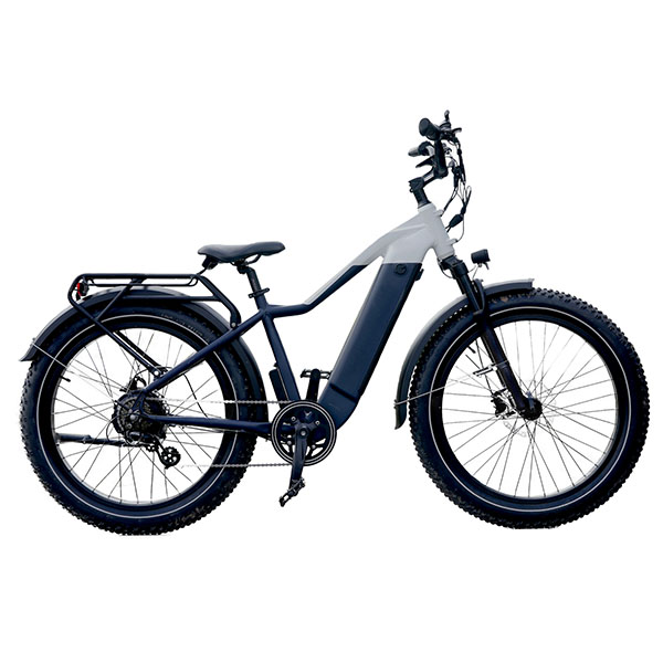 OEM Custom Mountain Cargo Bike Supplier –  TIKI electric mountain bike 750w – TIKI