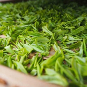 Factory Supply Hot Sale Pure Natural Green Tea Powder