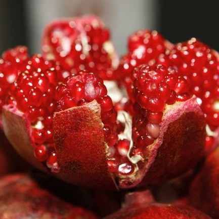 Pomegranate seed powder (2)