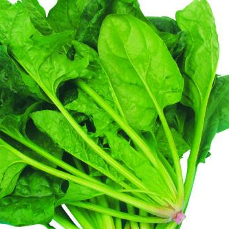 OEM Supply Daidzein - Factory Supply Hot Sale Pure Natural Spinach Powder – Times