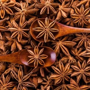 Factory Supply Premium Quality Bulk Pure Natural Star Anise Oil