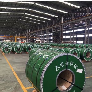 Stainless Steel Coil 2D Surface