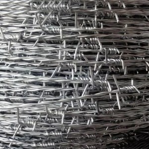China Supplier Security Protected Cbt-65 Razor Barbed Wire