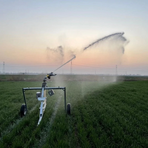 Agricultural hose reel irrigation system