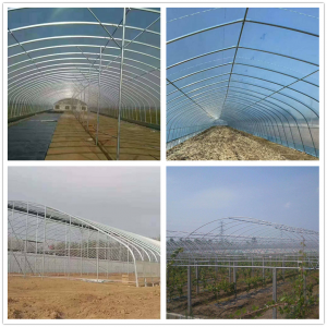 Hot Dipped Galvanized Steel Pipe in Round Actual Weight Galvanized Steel Pipe for Greenhouse