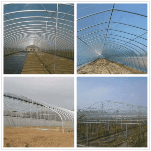 factory Outlets for China Hot-DIP Galvanized Steel Pipe Durable Multi-Span for Vegetables Planting Greenhouse