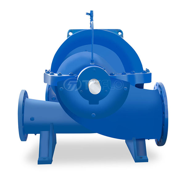 High Quality Diesel Clean Water Pump - ANS(V) Series Double Suction Split Casing Centrifugal Pump – Tongke
