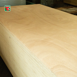 5mm-18mm Plywood with Okoume face & back