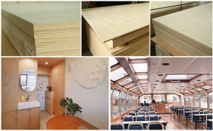 Birch Plywood 4X8 | Furniture Grade | Tongli