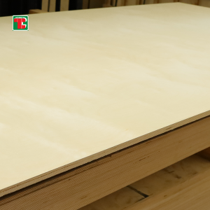 Full Birch Plywood – 18mm 4×8ft | Tongli