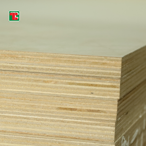 Birch Plywood 4X8 | Furniture Grade | Tongli