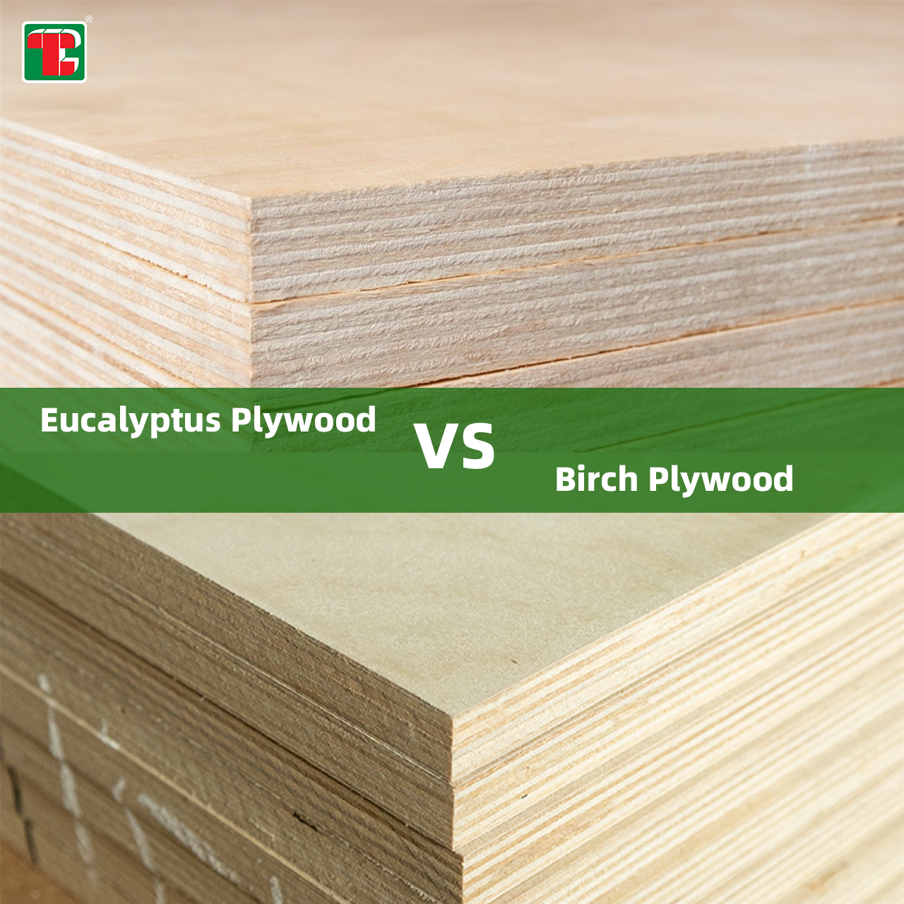Eucalyptus Plywood vs. Birch Plywood