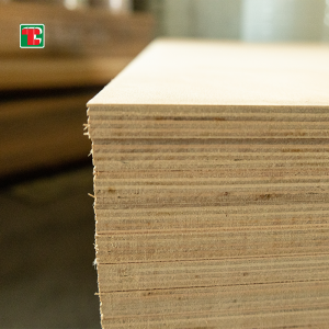 Ev 12Mm 8X4 Plywood | Thickness: 3 to 25 mm -Tongli