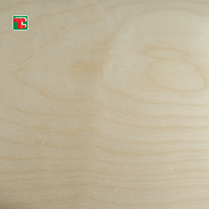 Baltic Birch Plywood – 4×8 ft Marine Grade | Tongli