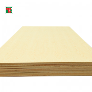 White Ash Wood Veneer Plywood – In Crown Cut | Tongli