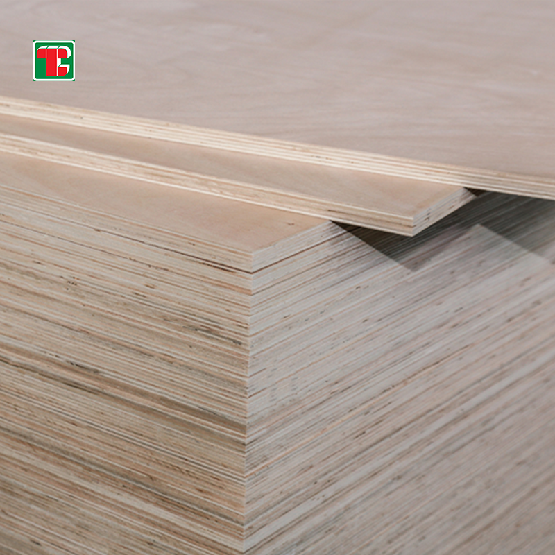 4 Points You Need To Know About Eucalyptus Wood