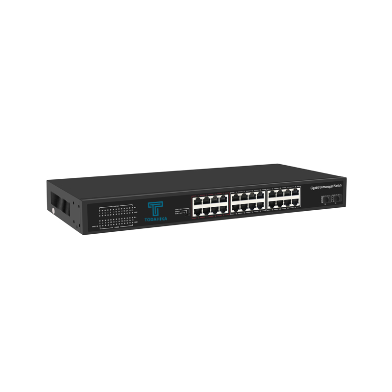 TH-G0224AI-S Ethernet (1)