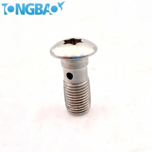 Stainless Steel Bolt, Head Mirror Polished