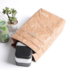 Steady Food Delivery Kraft Paper Foodie Cooler Bag