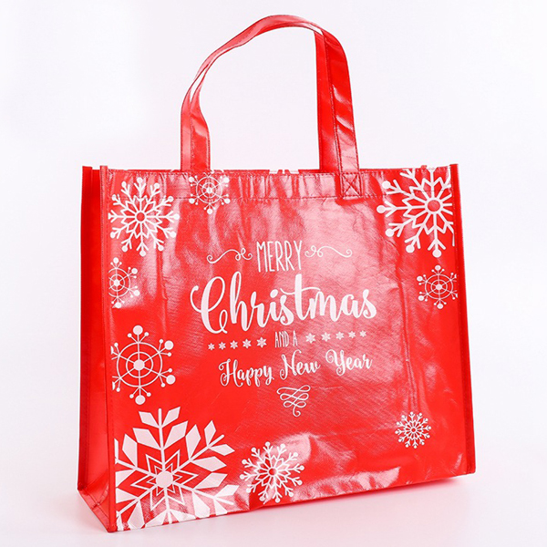 OEM/ODM Supplier Shopping Lamination Bag - Christmas Gift Shopping Laminated PP Non Woven Tote Bag – Tongxing